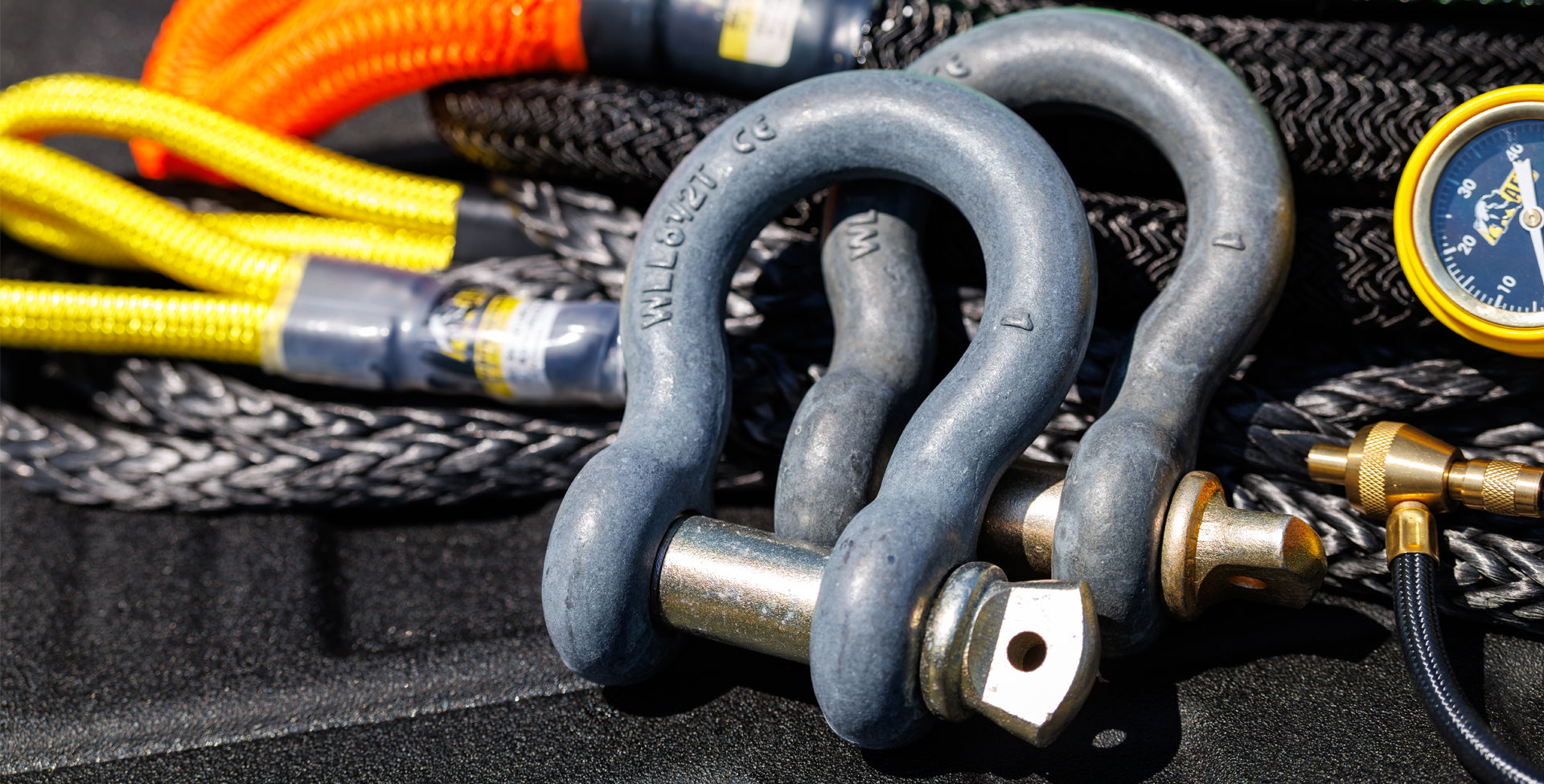 Full Size Anchor Shackle | Full Size Anchor Shackle 