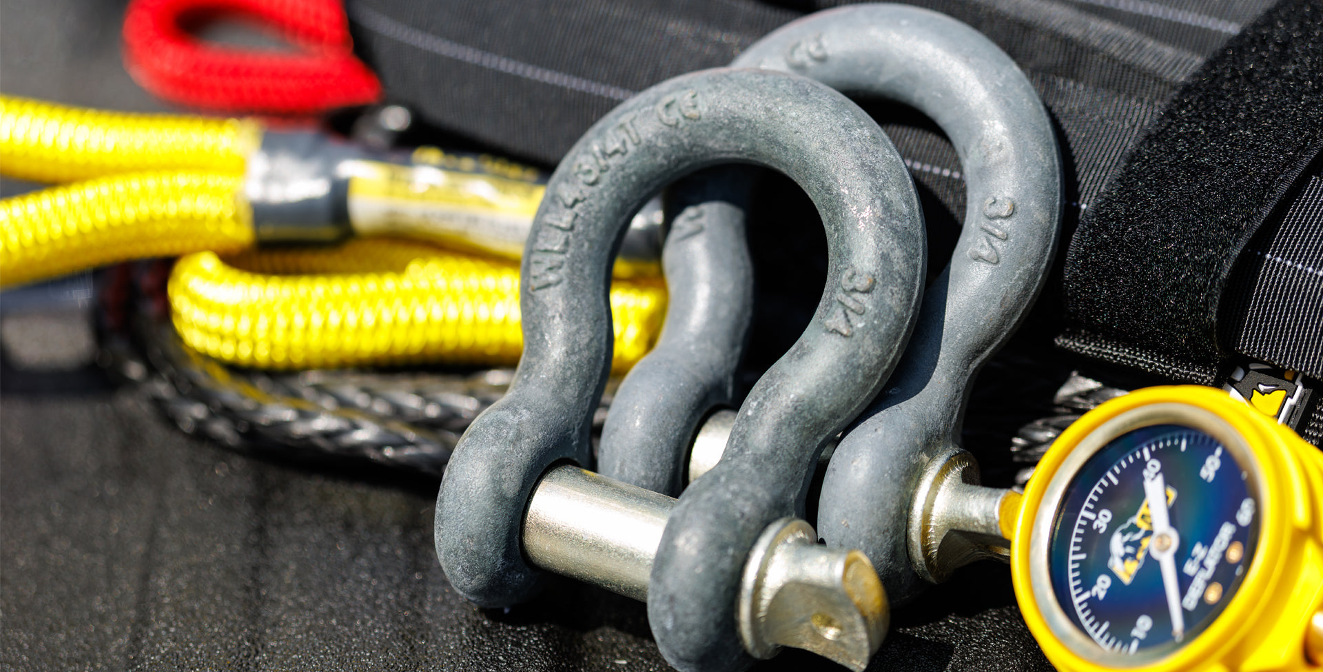 Mid Size | Mid Size Anchor Shackles